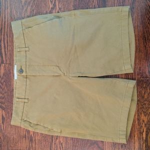 Everlane 9" Slim Fit Performance Chino Short, Size 32, Olive